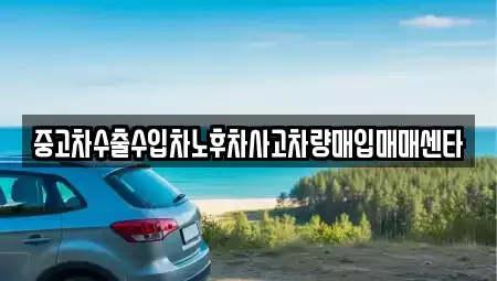 제주 제주시 화북이동 중고차매입 전문 중고차수출수입차노후차사고차량매입매매센타