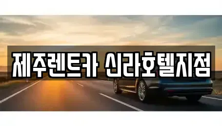 제주특별자치도 서귀포시 렌트카 전문 제주렌트카 신라호텔지점