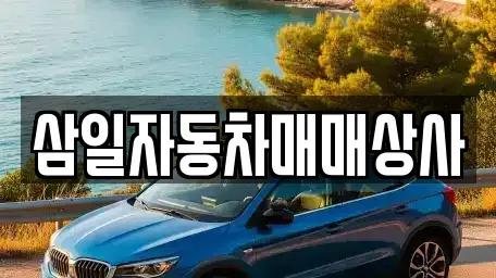 제주특별자치도 서귀포시 중고차매매,단기렌트카,중고차매입,장기렌트카,중고차,렌트카