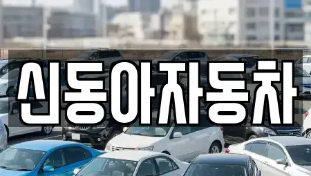 제주특별자치도 서귀포시 중고차매매 전문 신동아자동차