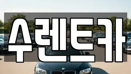 제주특별자치도 제주시 내도동 렌트카 전문 수렌트카