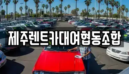 제주특별자치도 제주시 내도동 렌트카 전문 제주렌트카대여협동조합