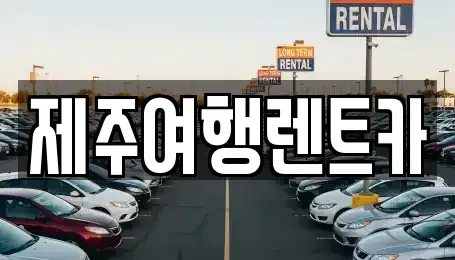 제주특별자치도 제주시 내도동 렌트카 전문 제주여행렌트카