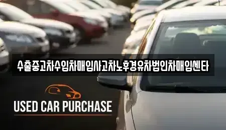 제주특별자치도 제주시 내도동 중고차매매,단기렌트카,중고차매입,장기렌트카,중고차,렌트카