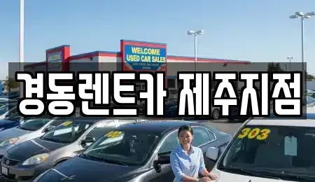 제주특별자치도 제주시 도두일동 장기렌트카 전문 경동렌트카 제주지점