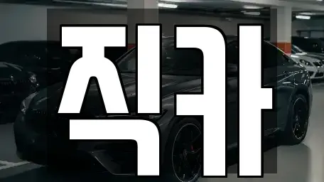 제주특별자치도 제주시 도두일동 중고차 전문 직카