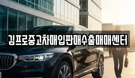 제주특별자치도 제주시 도두일동 중고차매입 전문 김프로중고차매입판매수출매매센터
