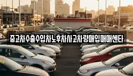 제주특별자치도 제주시 도두일동 중고차매입 전문 중고차수출수입차노후차사고차량매입매매센타