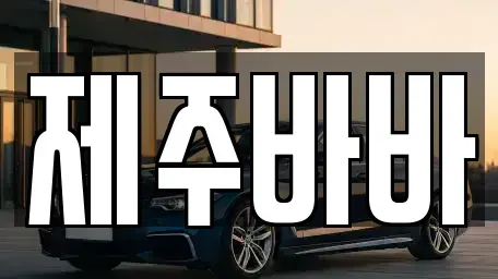 제주특별자치도 제주시 아라이동 렌트카 전문 제주바바