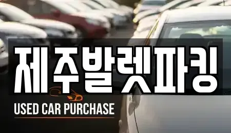 제주특별자치도 제주시 아라이동 렌트카 전문 제주발렛파킹