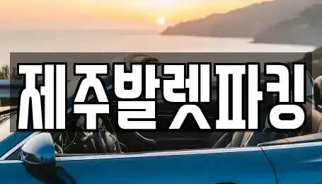 제주특별자치도 제주시 오등동 렌트카 전문 제주발렛파킹