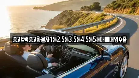 제주특별자치도 제주시 오등동 중고차매매 전문 중고트럭중고화물차1톤2.5톤3.5톤4.5톤5톤매매매입수출
