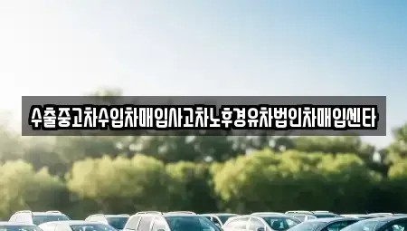 제주특별자치도 제주시 오등동 중고차매입 전문 수출중고차수입차매입사고차노후경유차법인차매입센타
