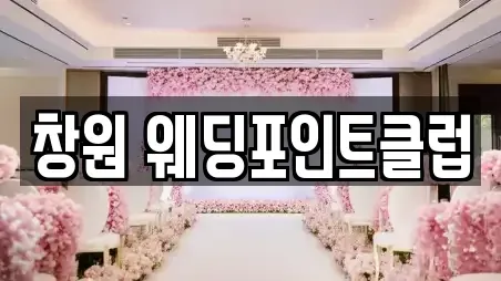 창원 웨딩포인트클럽
