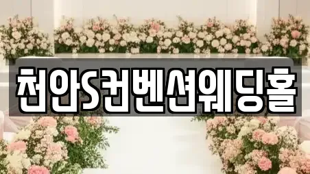 천안S컨벤션웨딩홀