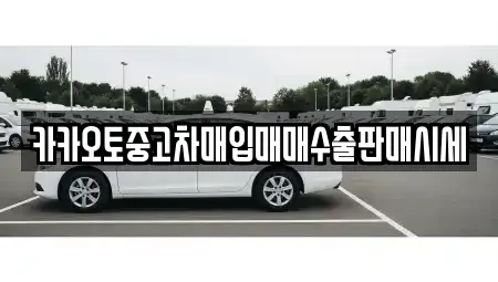 충남 공주시 석장리동 중고차 전문 카카오토중고차매입매매수출판매시세