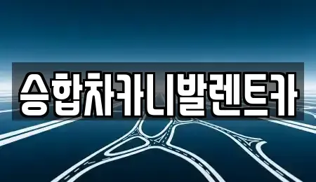 충남 금산군 복수면 렌트카 전문 승합차카니발렌트카