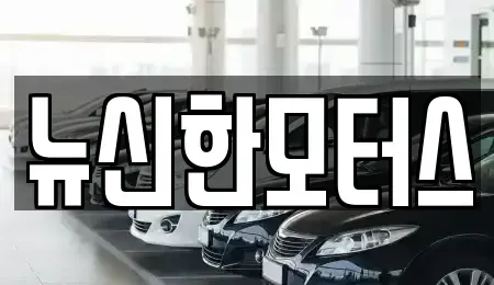 충남 금산군 복수면 중고차 전문 뉴신한모터스