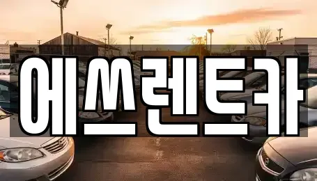 충남 보령시 화산동 렌트카,단기렌트카,장기렌트카,중고차,중고차매매,중고차매입
