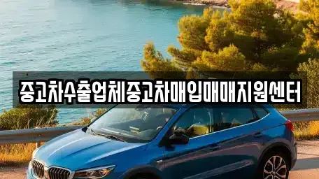 충남 보령시 화산동 중고차 전문 중고차수출업체중고차매입매매지원센터