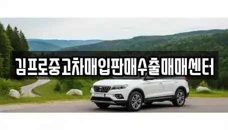 충남 보령시 화산동 중고차매입 전문 김프로중고차매입판매수출매매센터
