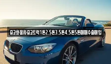 충남 서천군 비인면 중고차매매,단기렌트카,중고차매입,장기렌트카,중고차,렌트카