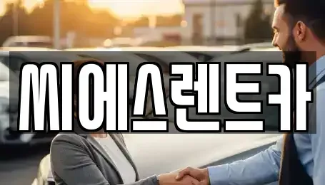 충남 예산군 예산읍 렌트카 전문 씨에스렌트카