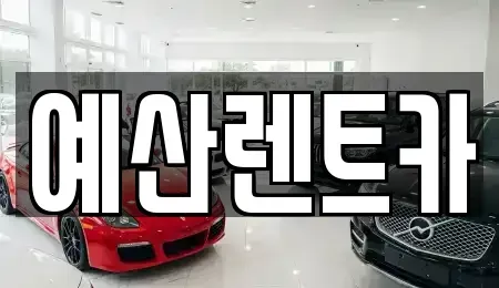 충남 예산군 예산읍 렌트카 전문 예산렌트카