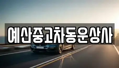 충남 예산군 예산읍 중고차,렌트카,중고차매입,중고차매매,장기렌트카,단기렌트카