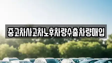 충남 태안군 안면읍 중고차,렌트카,중고차매입,중고차매매,장기렌트카,단기렌트카