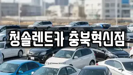 충북 음성군 맹동면 렌트카 전문 청솔렌트카 충북혁신점