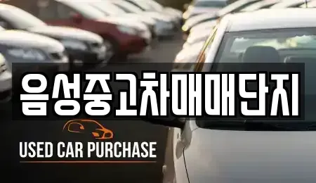 충북 음성군 맹동면 중고차 전문 음성중고차매매단지
