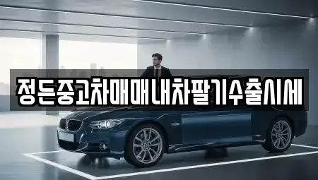 충북 음성군 맹동면 중고차 전문 정든중고차매매내차팔기수출시세
