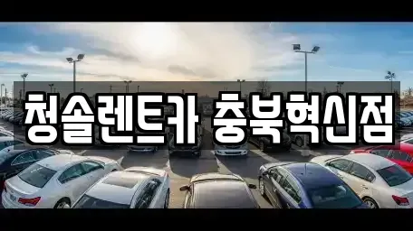 충북 진천군 렌트카 전문 청솔렌트카 충북혁신점