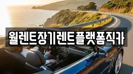 충북 진천군 장기렌트카 전문 월렌트장기렌트플랫폼직카