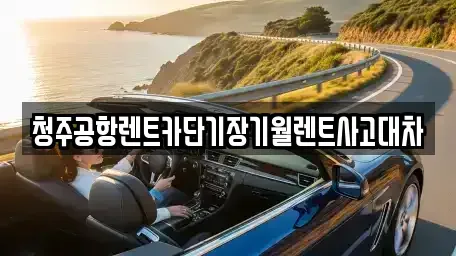 충북 진천군 장기렌트카 전문 청주공항렌트카단기장기월렌트사고대차