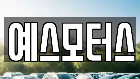 충북 진천군 중고차 전문 예스모터스