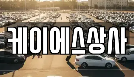 충북 진천군 중고차 전문 케이에스상사