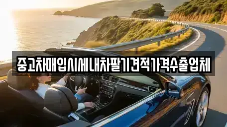 충북 진천군 중고차매입 전문 중고차매입시세내차팔기견적가격수출업체