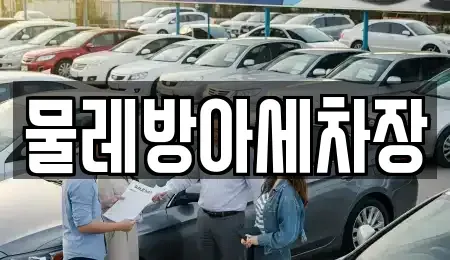 충북 청주시 상당구 북문로3가 중고차 전문 물레방아세차장