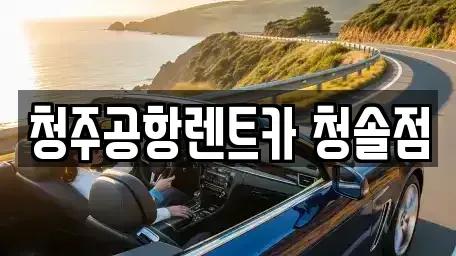충북 청주시 청원구 외남동 렌트카 전문 청주공항렌트카 청솔점