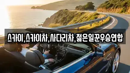 충북 청주시 청원구 외남동 중고차매입 전문 스카이,스카이차,사다리차,젊은일꾼우승연합