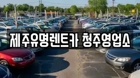 충북 청주시 흥덕구 화계동 렌트카 전문 제주유명렌트카 청주영업소
