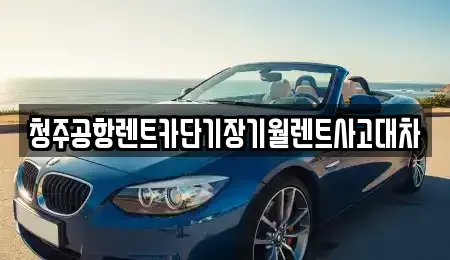 충북 청주시 흥덕구 화계동 렌트카 전문 청주공항렌트카단기장기월렌트사고대차