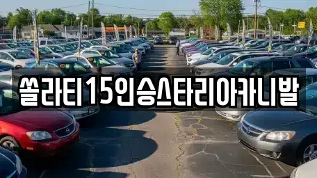 충북 충주시 목행동 렌트카 전문 쏠라티15인승스타리아카니발