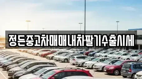 충북 충주시 목행동 중고차매매 전문 정든중고차매매내차팔기수출시세
