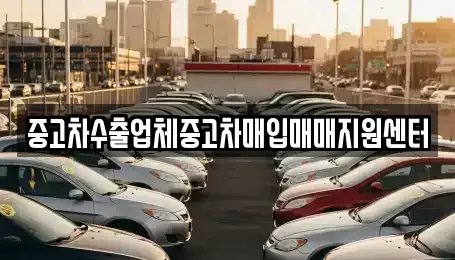 충북 충주시 목행동 중고차매입 전문 중고차수출업체중고차매입매매지원센터