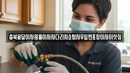 원룸이사 충청남도 공주시 반포면 베스트 15