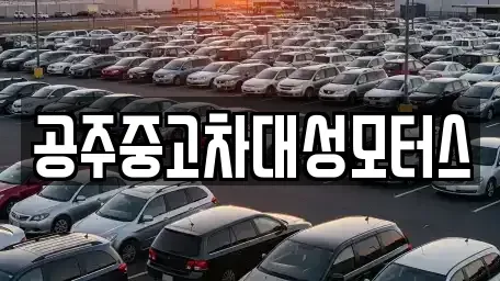 충청남도 공주시 신관동 중고차 전문 공주중고차대성모터스