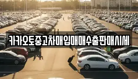 충청남도 공주시 신관동 중고차매입 전문 카카오토중고차매입매매수출판매시세
